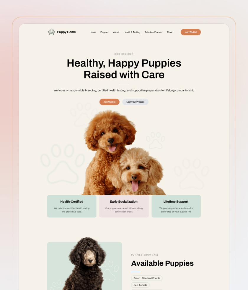 PlanModèle de site Créateur de site gratuit 2