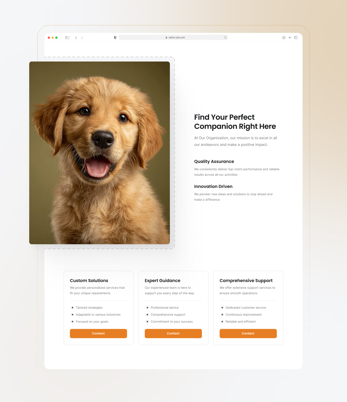 How to launch a dog breeder website easily