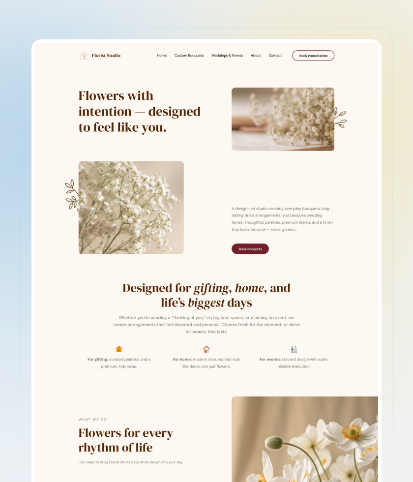 Soft website template 2