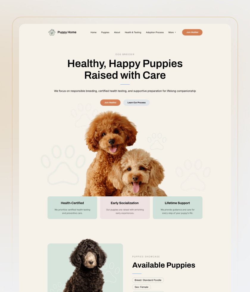 Gold website template 4