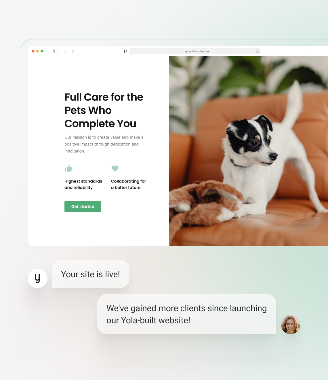 How to make a pet website