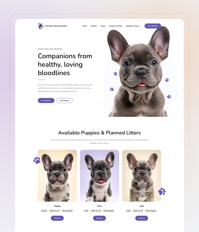 Light website template 3