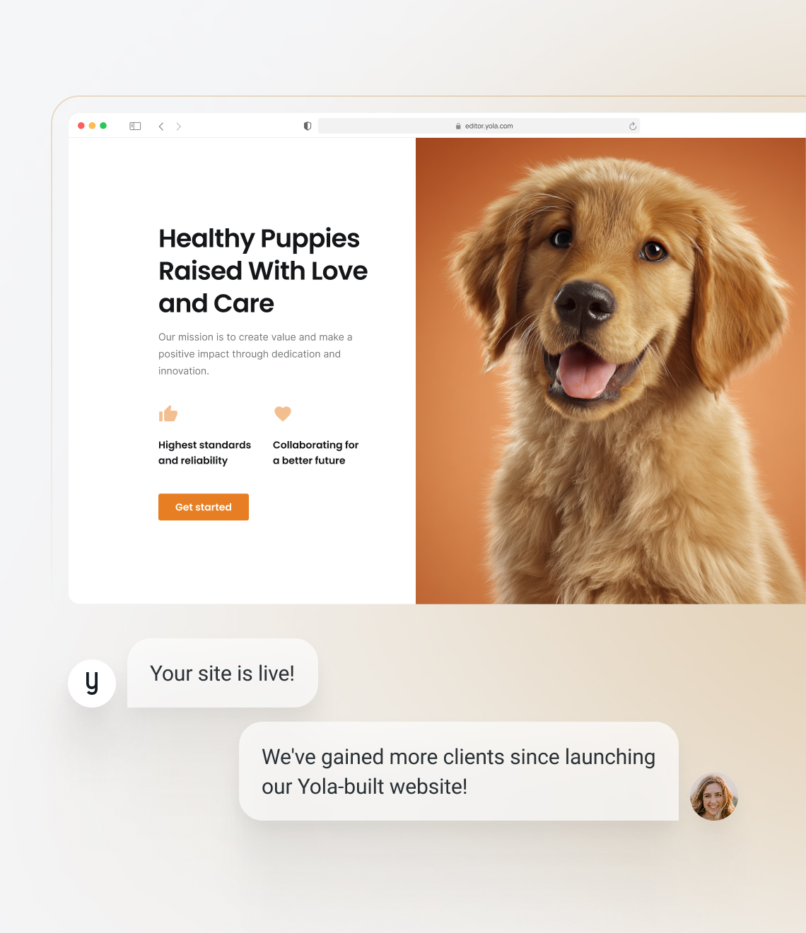 How to make a dog breeder website