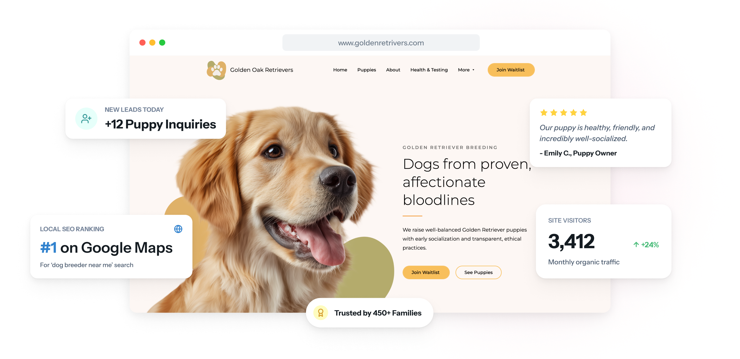 Website einer Hundezucht auf Laptop und Smartphone, oben ein geplanter Wurf, darunter die HD- und ED-Befunde der Elterntiere und ein Button für die Anfrage.