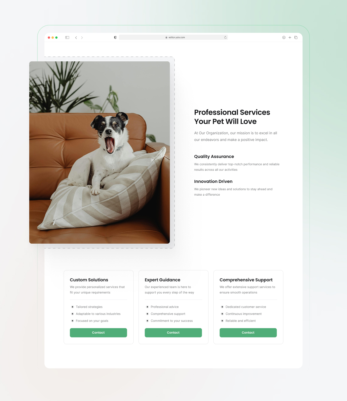 How to launch a pet website easily
